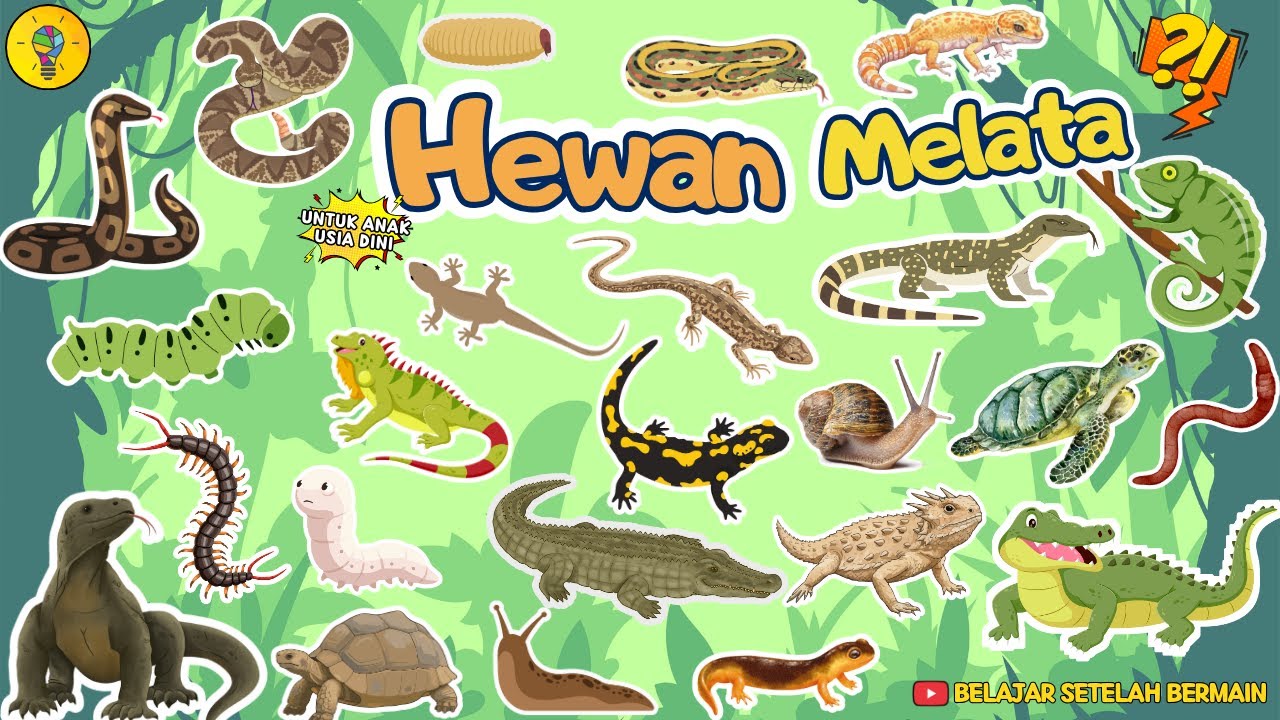 Mengenal Nama Nama Hewan Melata - Belajar Mengenal Hewan untuk Anak Usia Dini