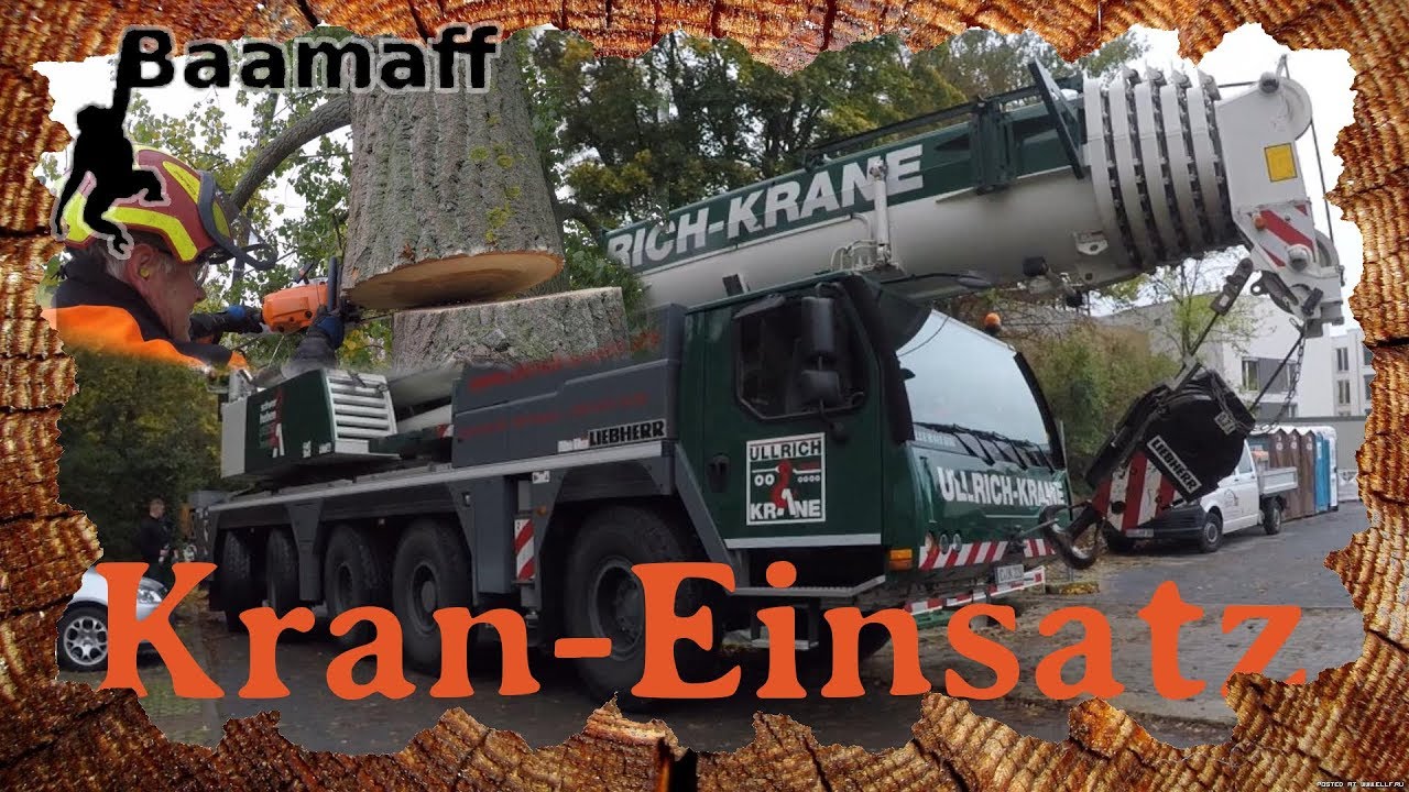 130t AUTOKRAN - Baumf&auml;llung mit Spezialtechnik in Chemnitz