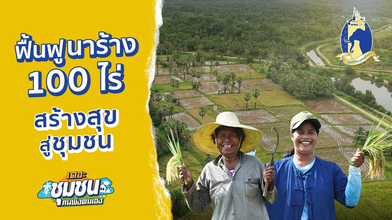 เดอะชุมชนคนพึ่งตนเอง | ฟื้นฟูนาร้าง 100 ไร่ หลังปล่อยให้รกร้างนาน 10 ปี เป็นผืนนาสมบูรณ์และสร้างสุข
