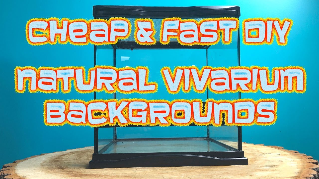 Cheap and Fast DIY Natural Vivarium Backgrounds