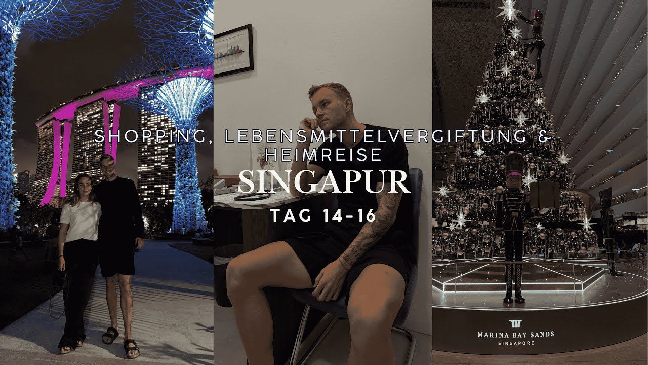 Ab zum Arzt - Lebensmittelvergiftung, Lichtershow in Singapur & Heimreise 🇸🇬😱🌃