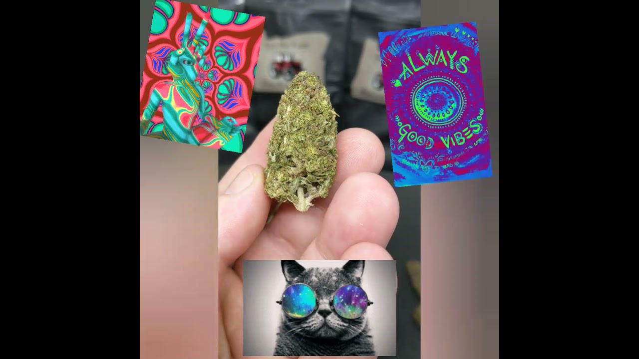 Elli_Hou_Farms 🚜⛽Delta 8 THC infused Flower ⛽🚜