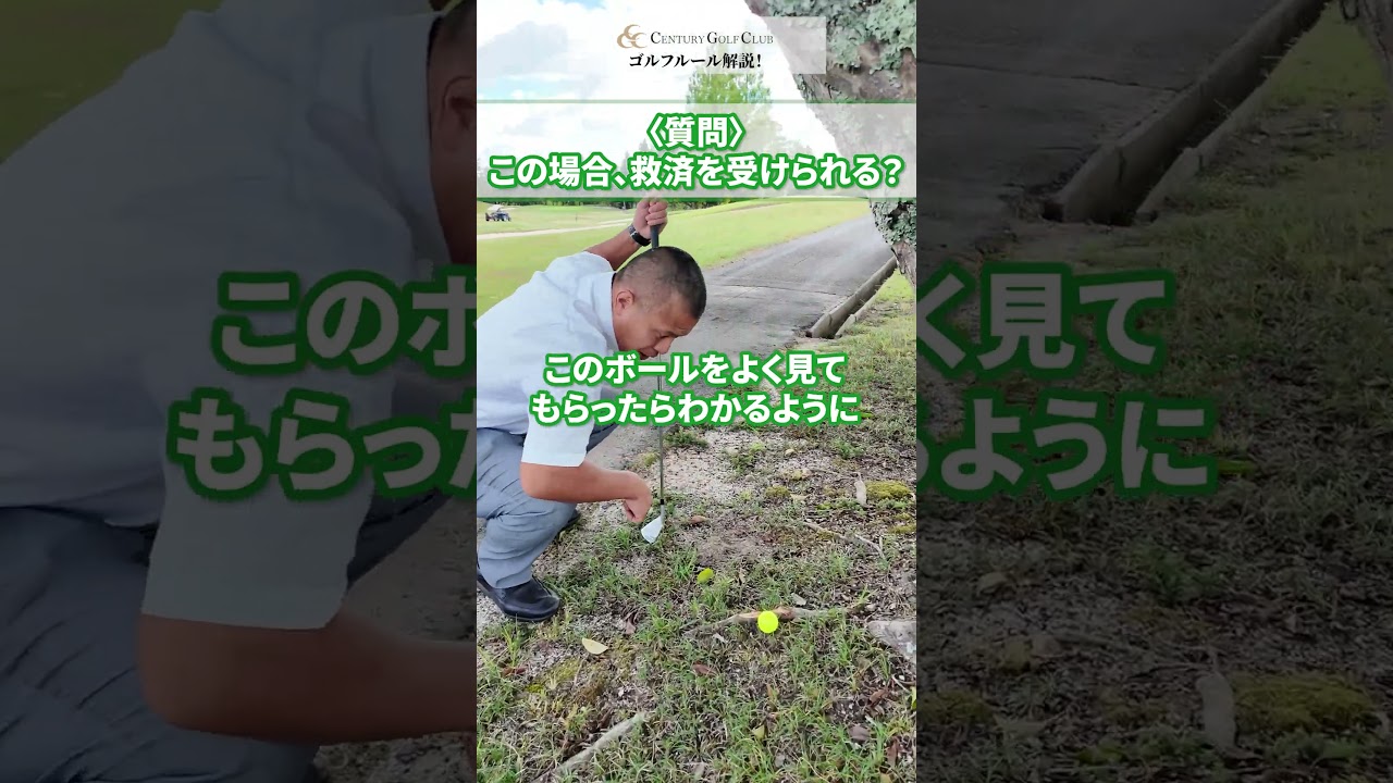 救済クイズ「これは救済？」 #ゴルフ #ゴルフルール #センチュリーゴルフクラブ
