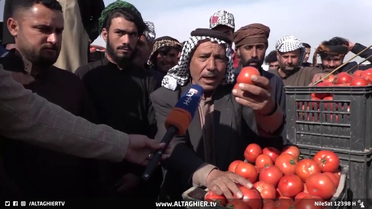 صناديق الطماطم مكدسة في علوة كربلاء إثر إغراق السوق بالمنتج المستورد