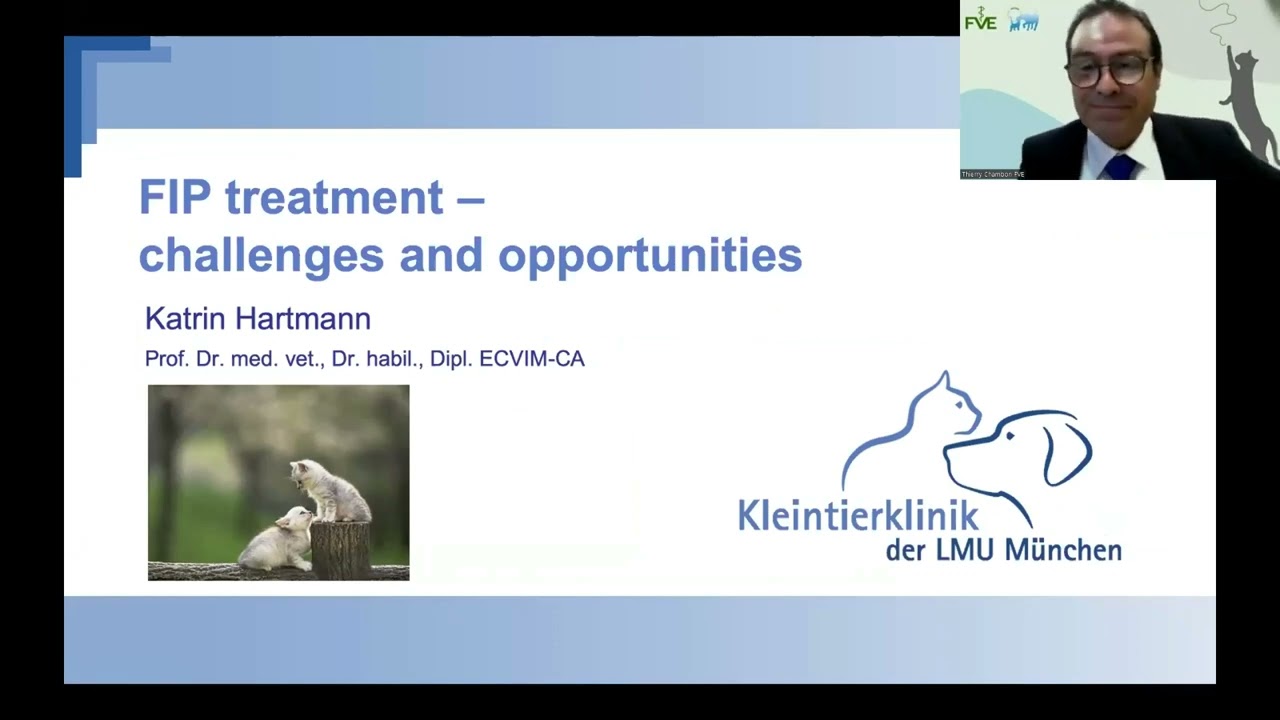 FVE/FECAVA webinar in FIP challenges and opportunities