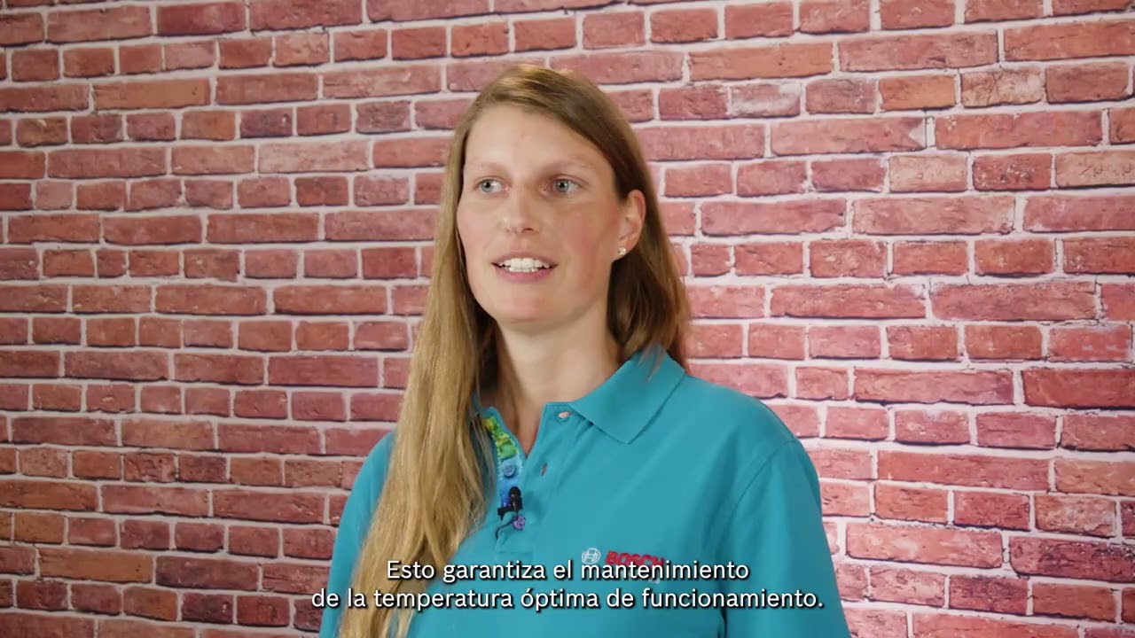 La importancia del valor térmico de las bujías | Bosch Automóvil