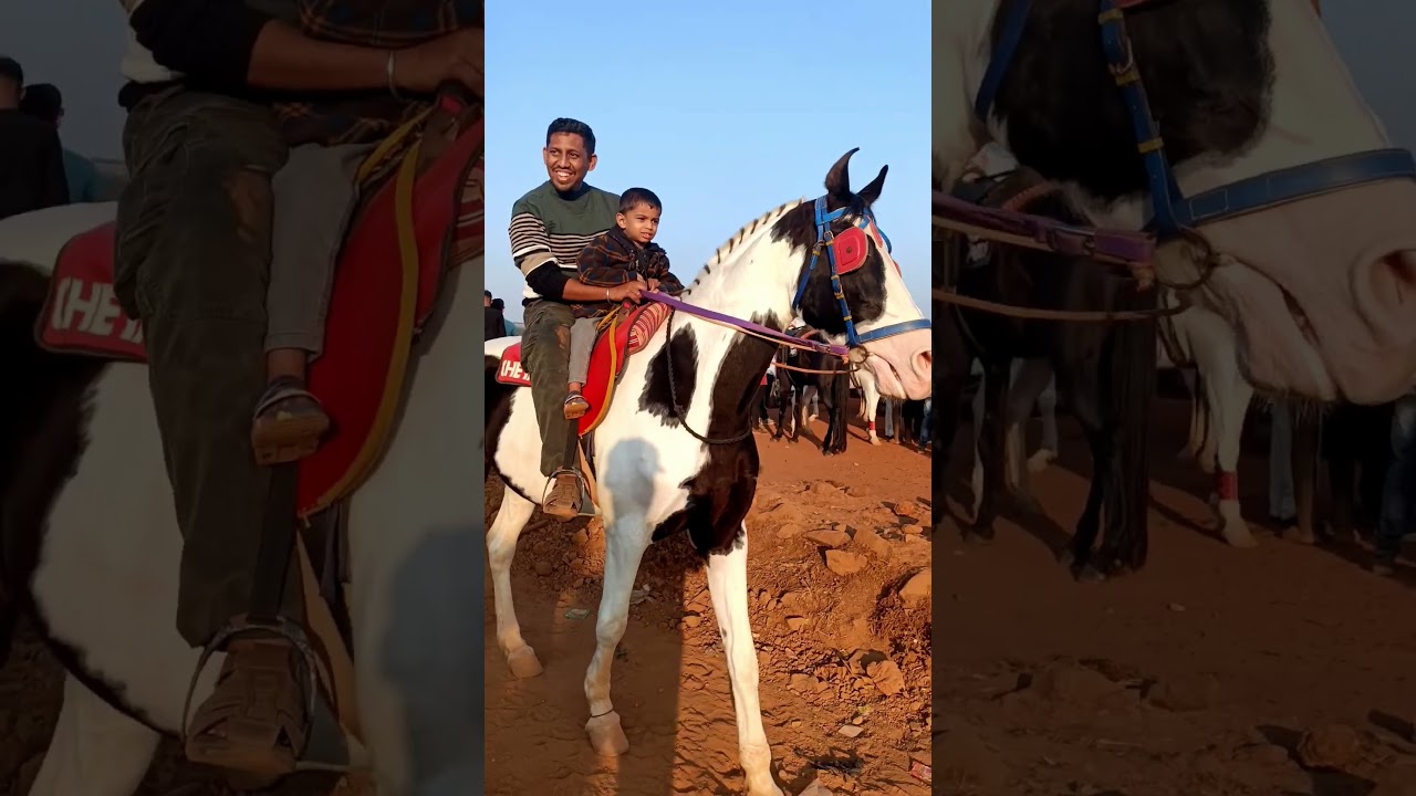 Horse Ride at Venna lake Mahabaleshwar 