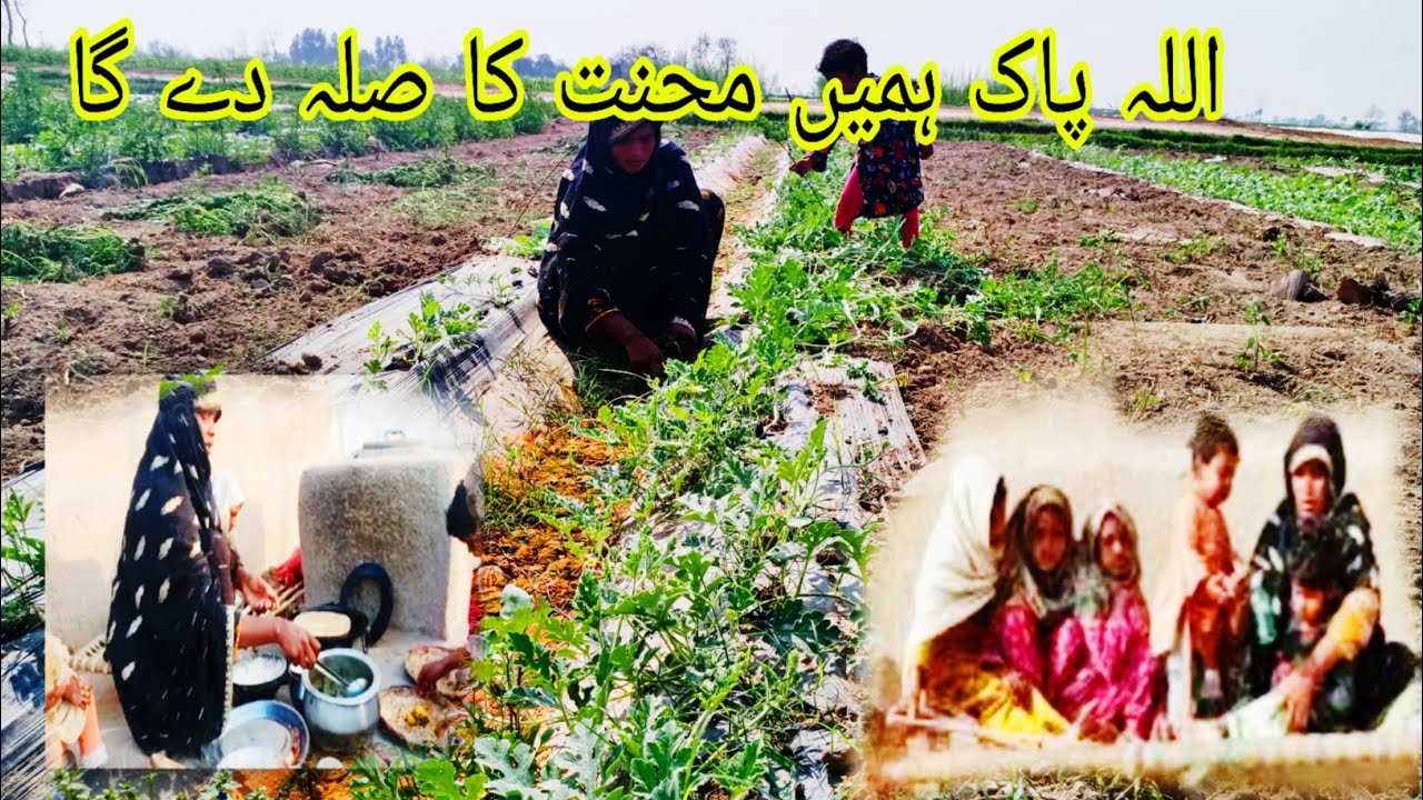 Allah pak mehnat ka Sila dega sajda famil, ،03y vilog 🤲🤲03483393961