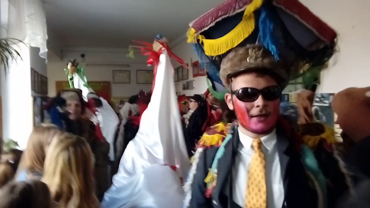 Koza OSSOWO 2017