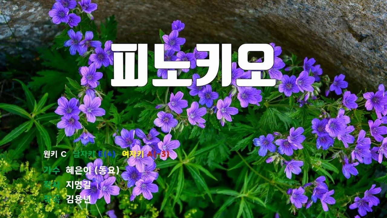 [은성반주기] 피노키오 - 혜은이