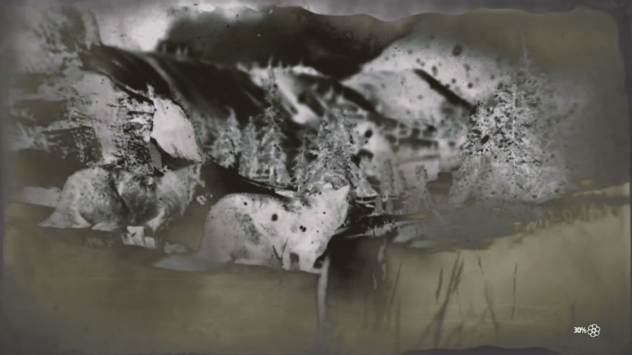 Red Dead Redemption 2_20260224022016