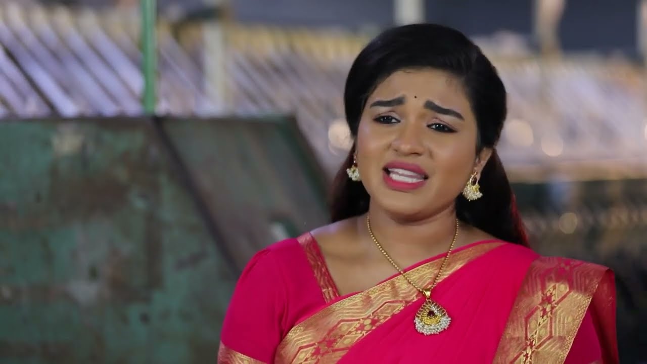 Vanaja comes up with a new conspiracy - Sembaruthi - Full Ep 674 - Zee Tamil
