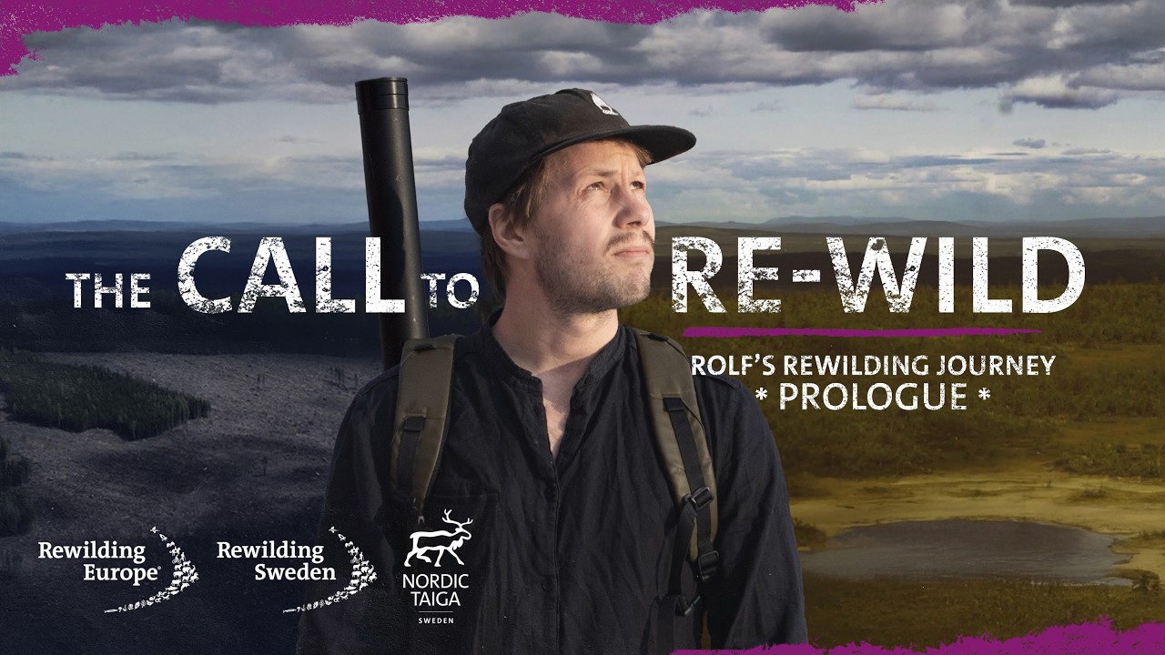 Rolf's Rewilding Journey, Prologue: 
