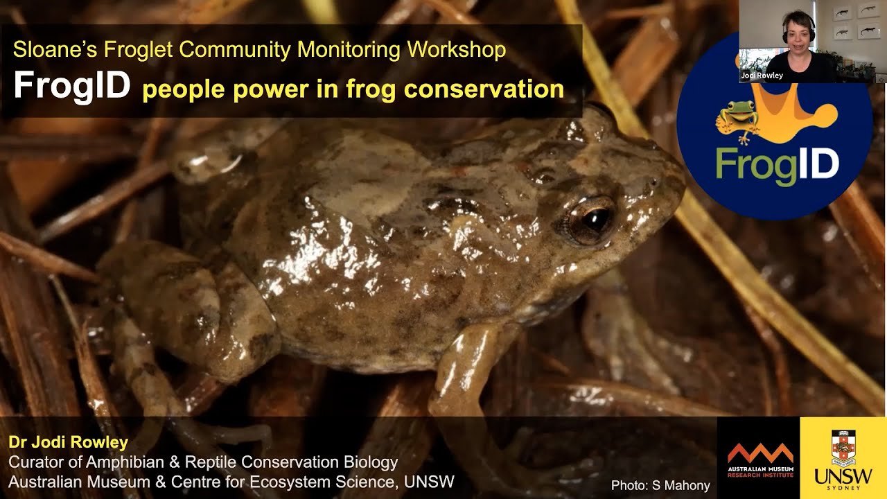 FrogID People power in frog conservation with Dr Jodi Rowley
