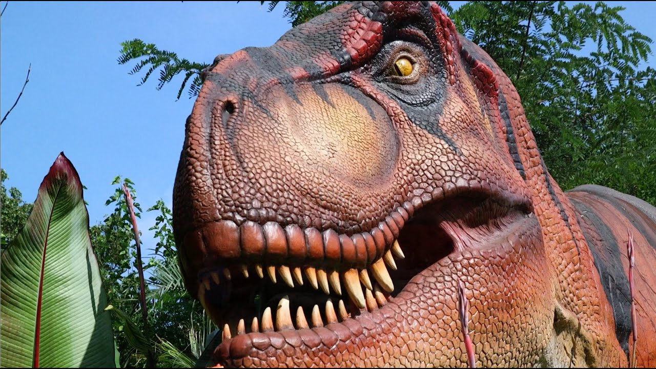 Emerson Dinoroarus at the Saint Louis Zoo
