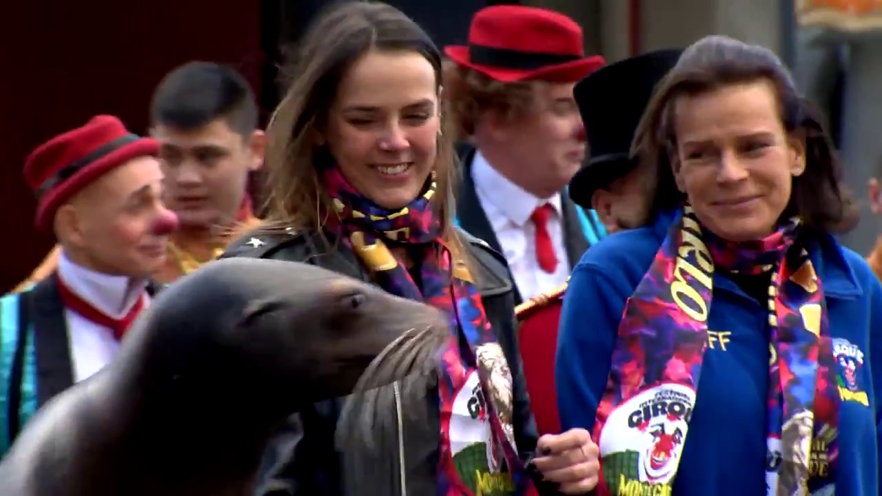 Festival international du cirque