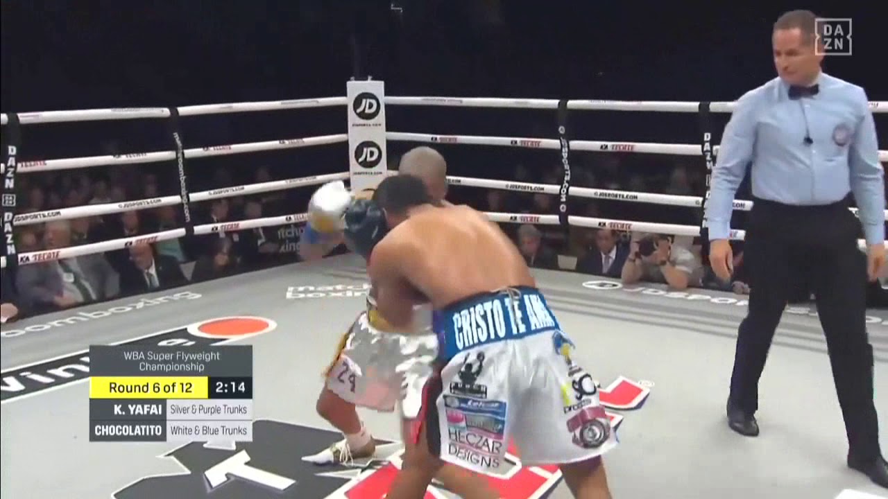 Roman Gonzalez Vs Khalid Yafai Highlights (Chocolatito has returned)