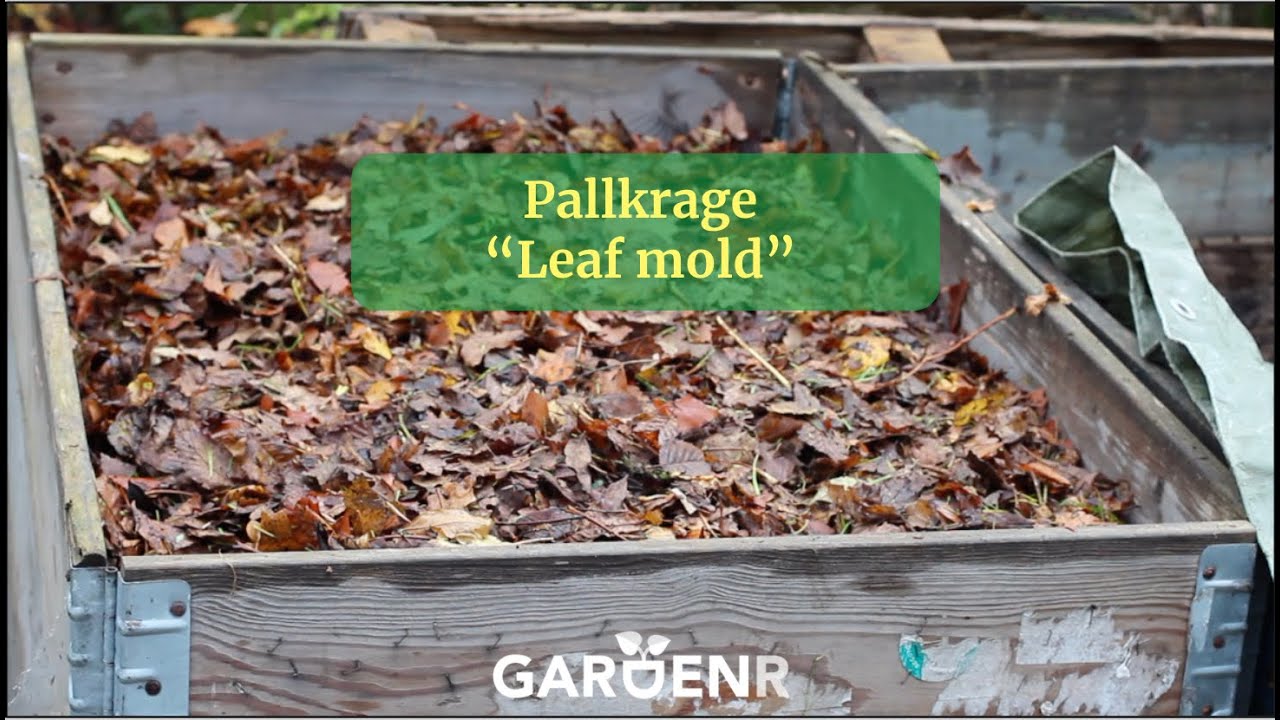 Pallkrage &rdquo;Leaf mold&rdquo; - Tr&auml;dg&aring;rdshacks med GardenR