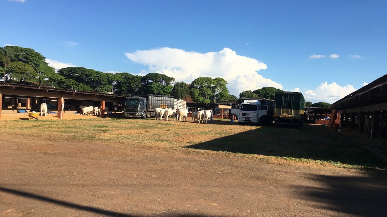 Estrada de Chão entre Santa Maria e Cruzeiro do Sul – Olha a Situação! 😱