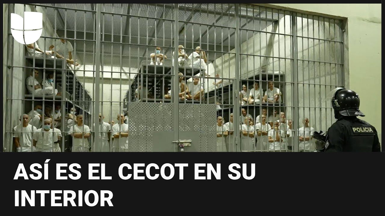 Univision entra a la megacárcel de Bukele: celdas de presos sin colchonetas ni cobijas