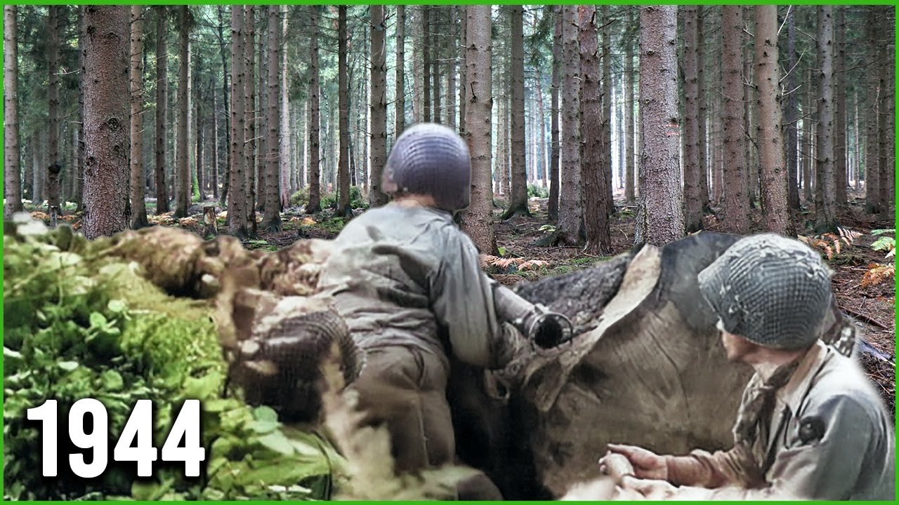 Vor 80 Jahren - Die Schlacht im Hürtgenwald