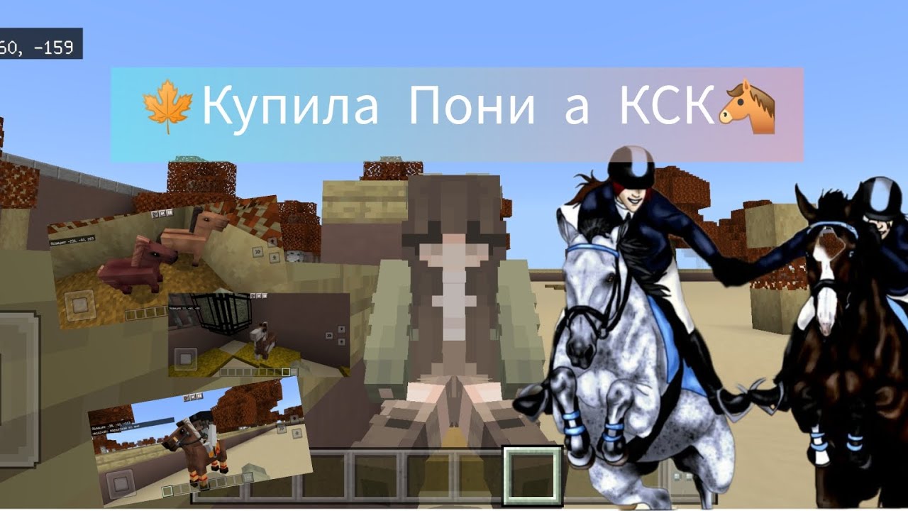 ❤🐴Купила пони / кто ведёт тренировки в нашем КСК? / Мини влог/🍁😞