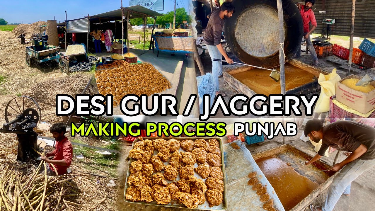 Desi Gur / Jaggery making process in Punjab | Organic Gud | Gur Shakkar | Jaggery Sugar