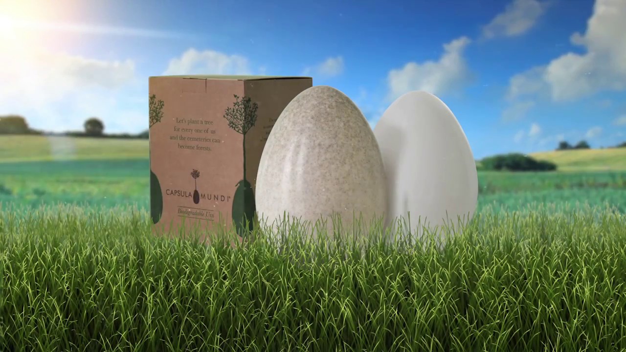 Capsula Mundi Urn: Death can turn into life