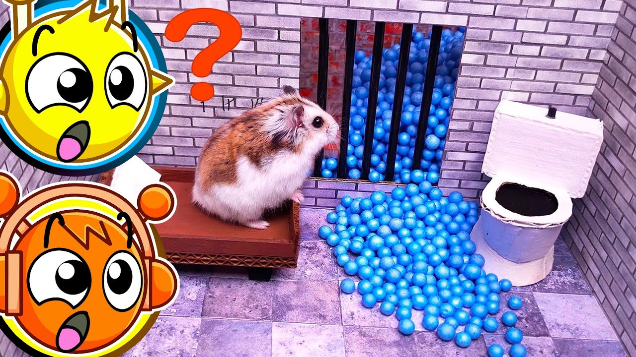 HAMSTER FUGINDO DAS ARMADILHAS PERIGOSAS!