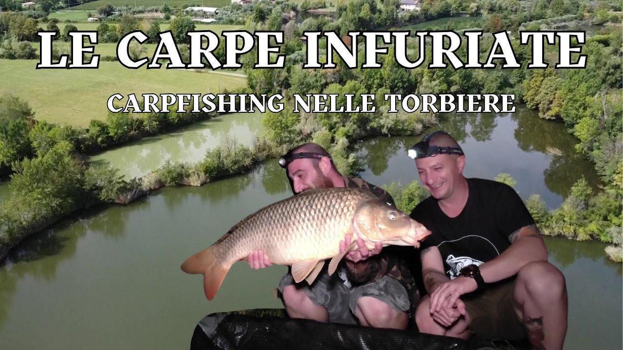 Le Carpe Infuriate delle Torbiere