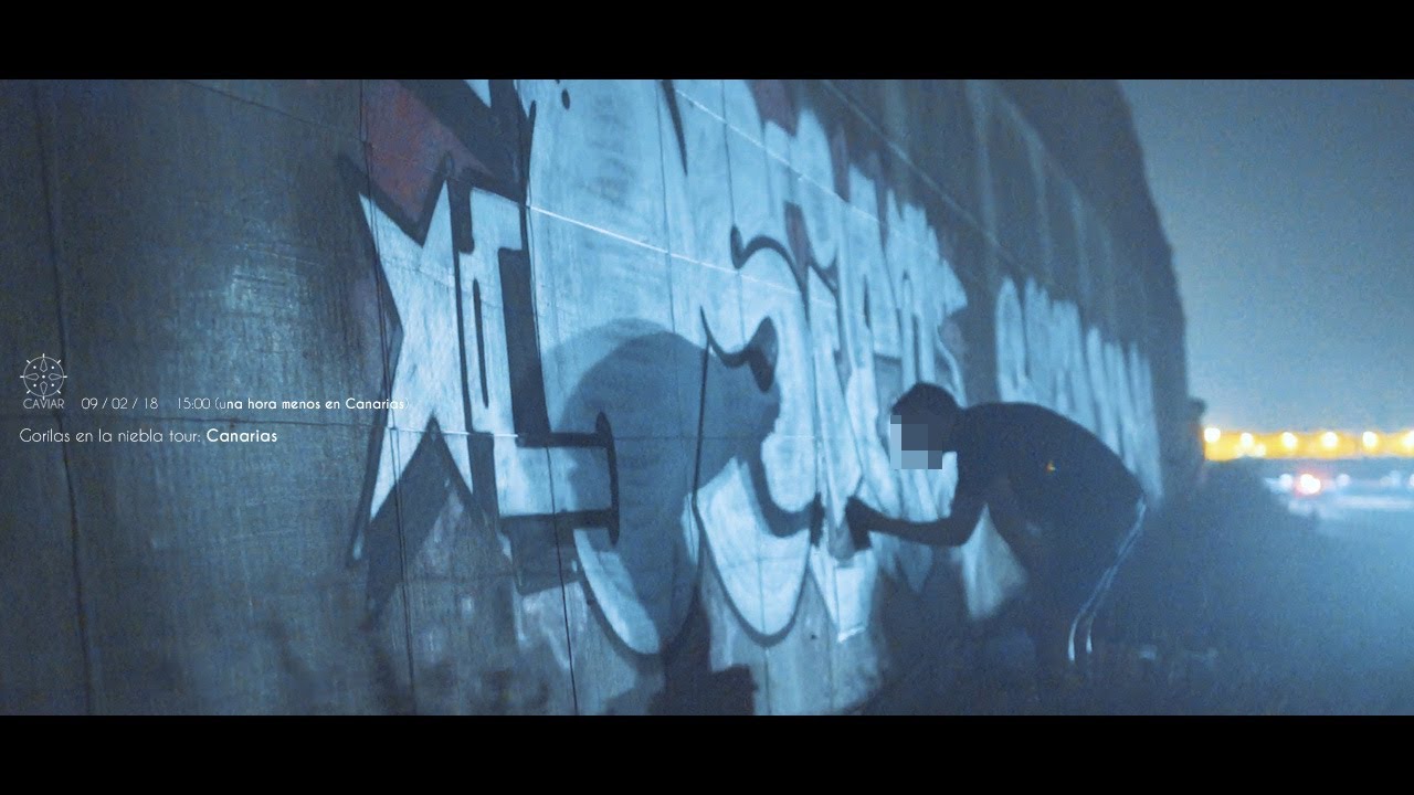 Gorilas en la niebla TOUR |CANARIAS| GRAFFITI BOMBING