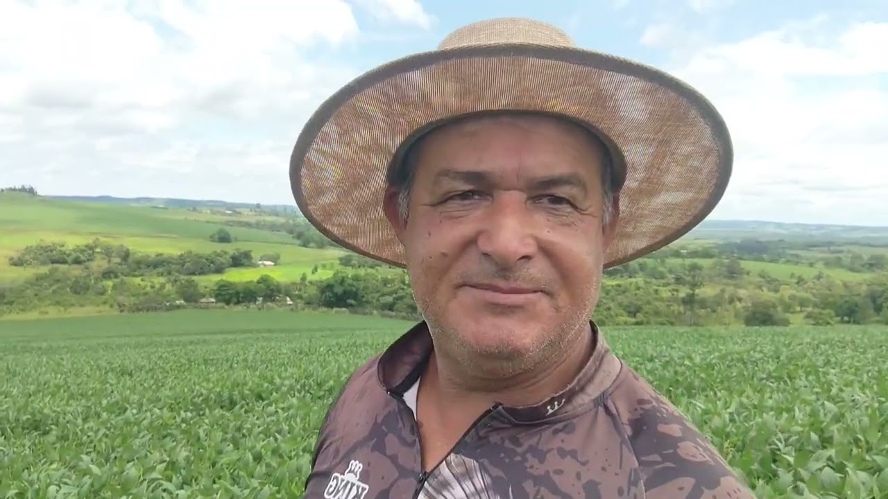 Visita do agrônomo nas lavouras 