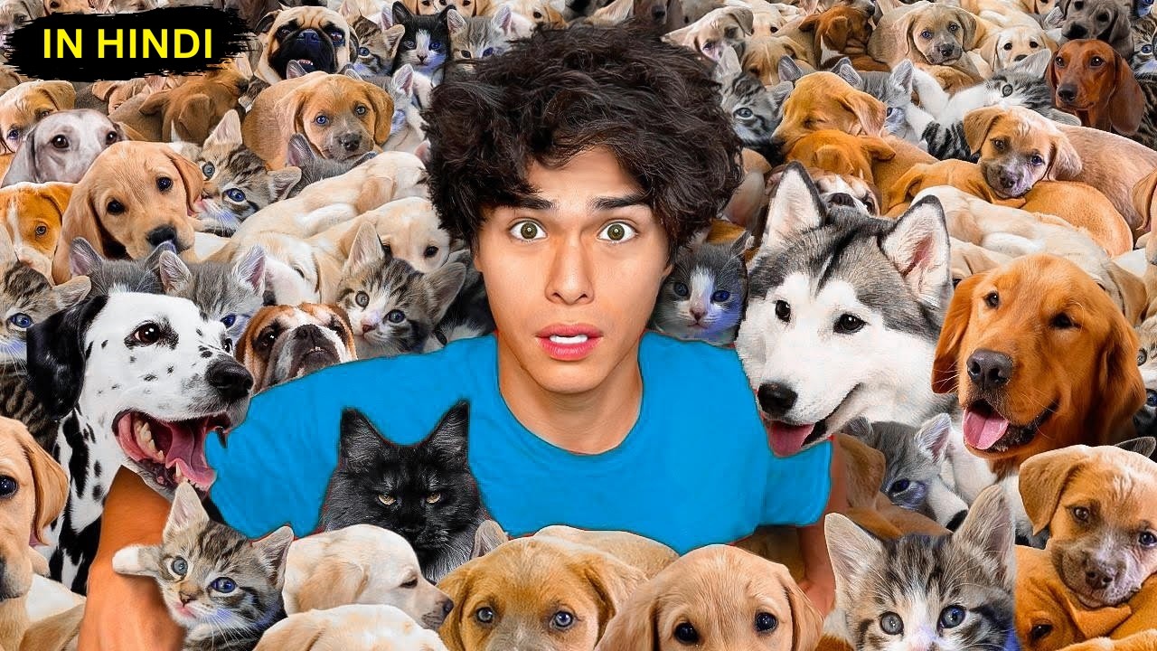 I Saved 100 Dogs from Dying | Stokes Twins In Hindi