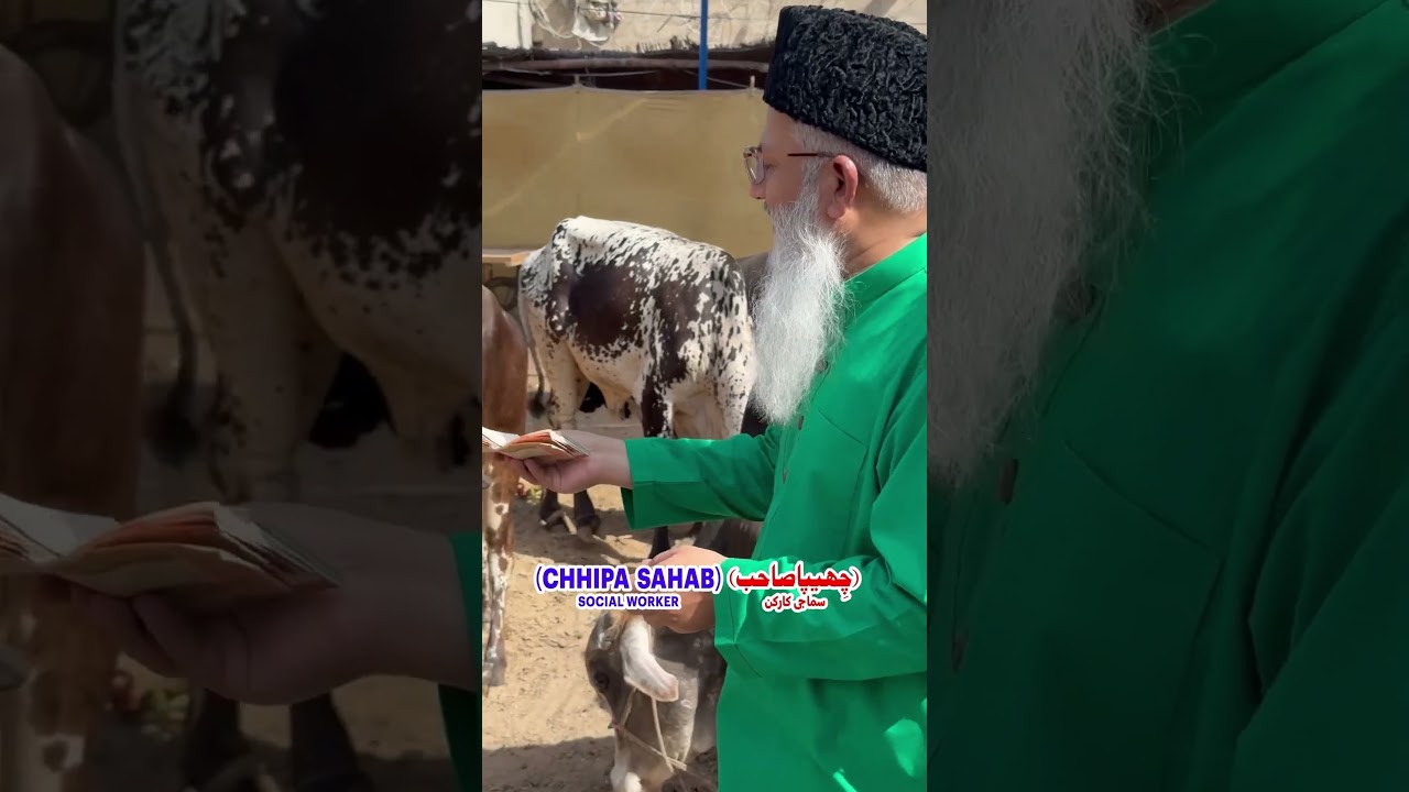 #Qurbani2024 #CollectiveQurbani #EidUlAdha #RamzanChhipa #ChhipaSahab #SocialWorker #Humanitarian