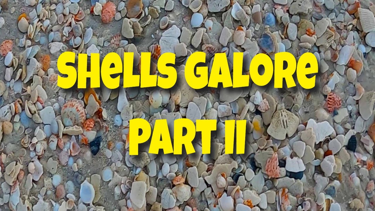 Summer SHELLING PENSACOLA Beach,July 2021, Part II