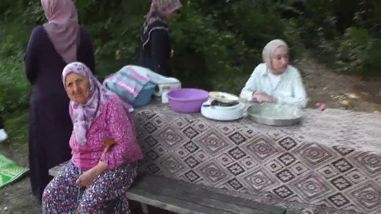 sinop boyabat tırnalı köyü geleneksel piknik şöleni 2023 part1