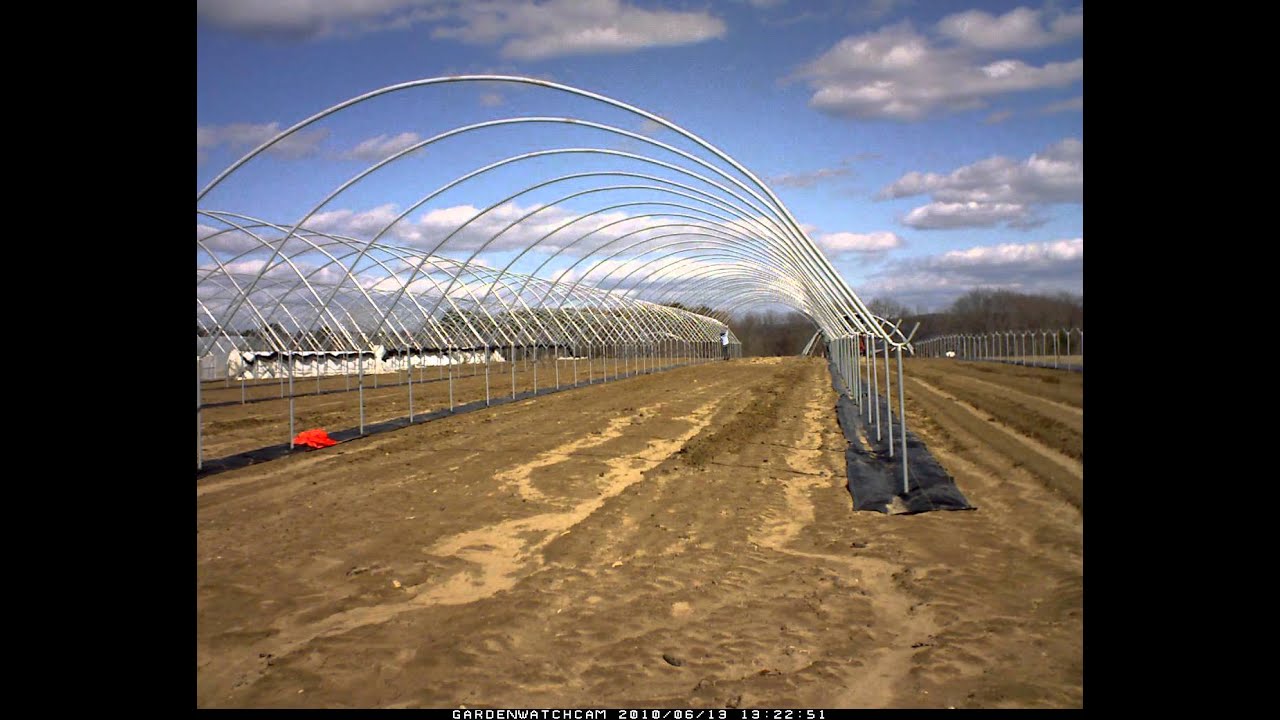 haygrove hoops 3:25:11