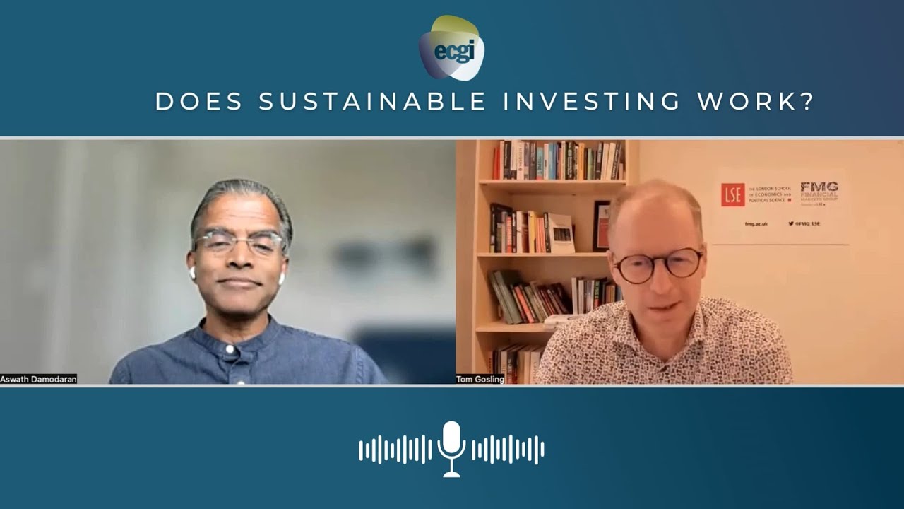 Does Sustainable Investing Work? - Prof. Aswath Damodaran