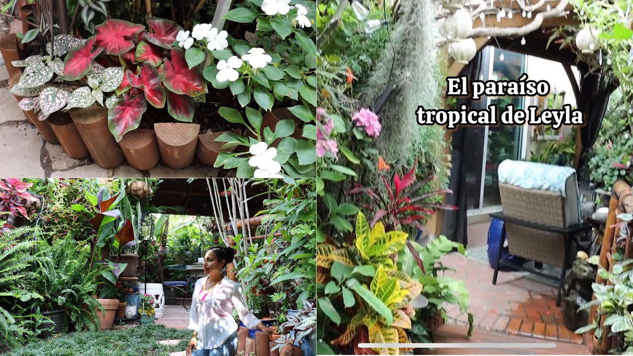Un jard&iacute;n lleno de vida y con una gran variedad de plantas