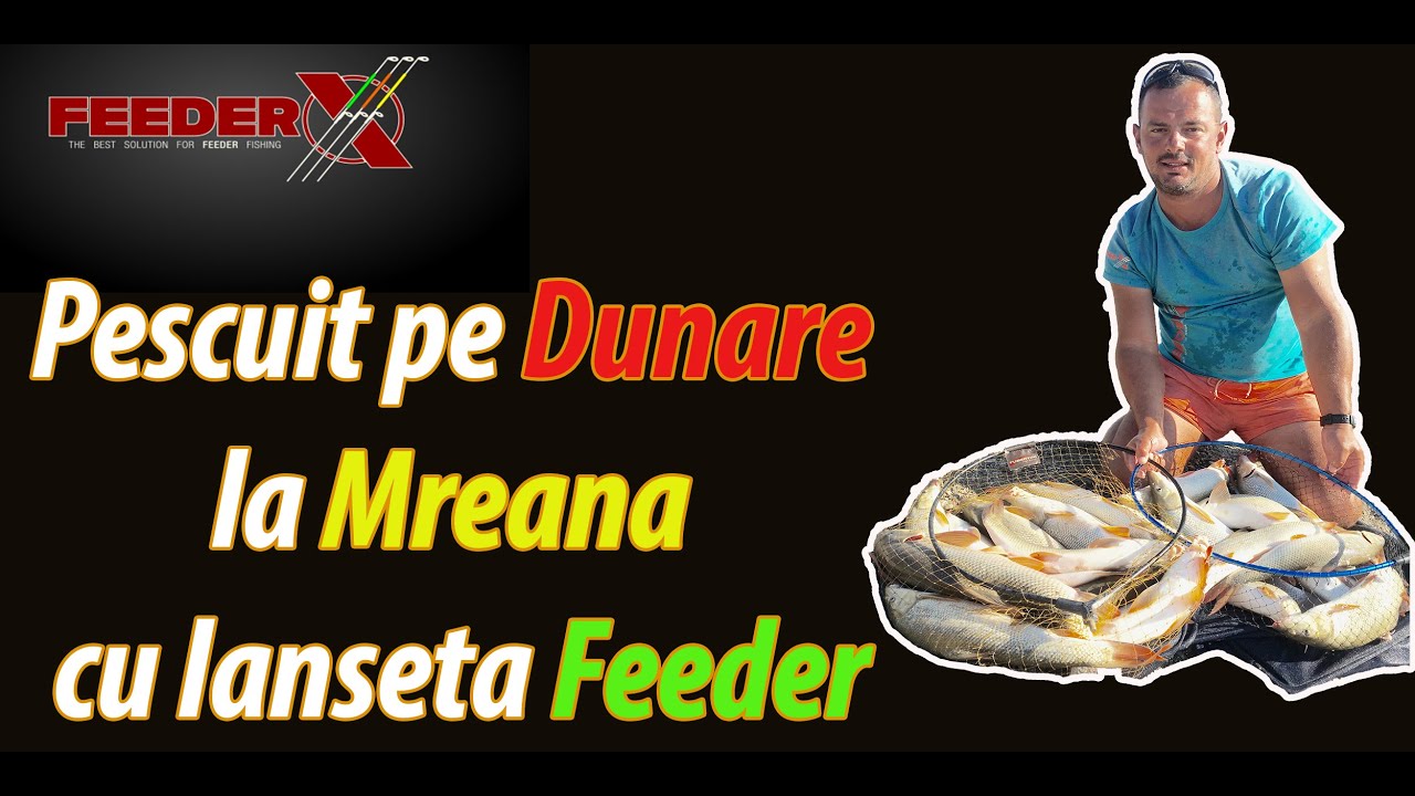 Pescuit pe Dunare la Mreana cu lanseta Feeder.