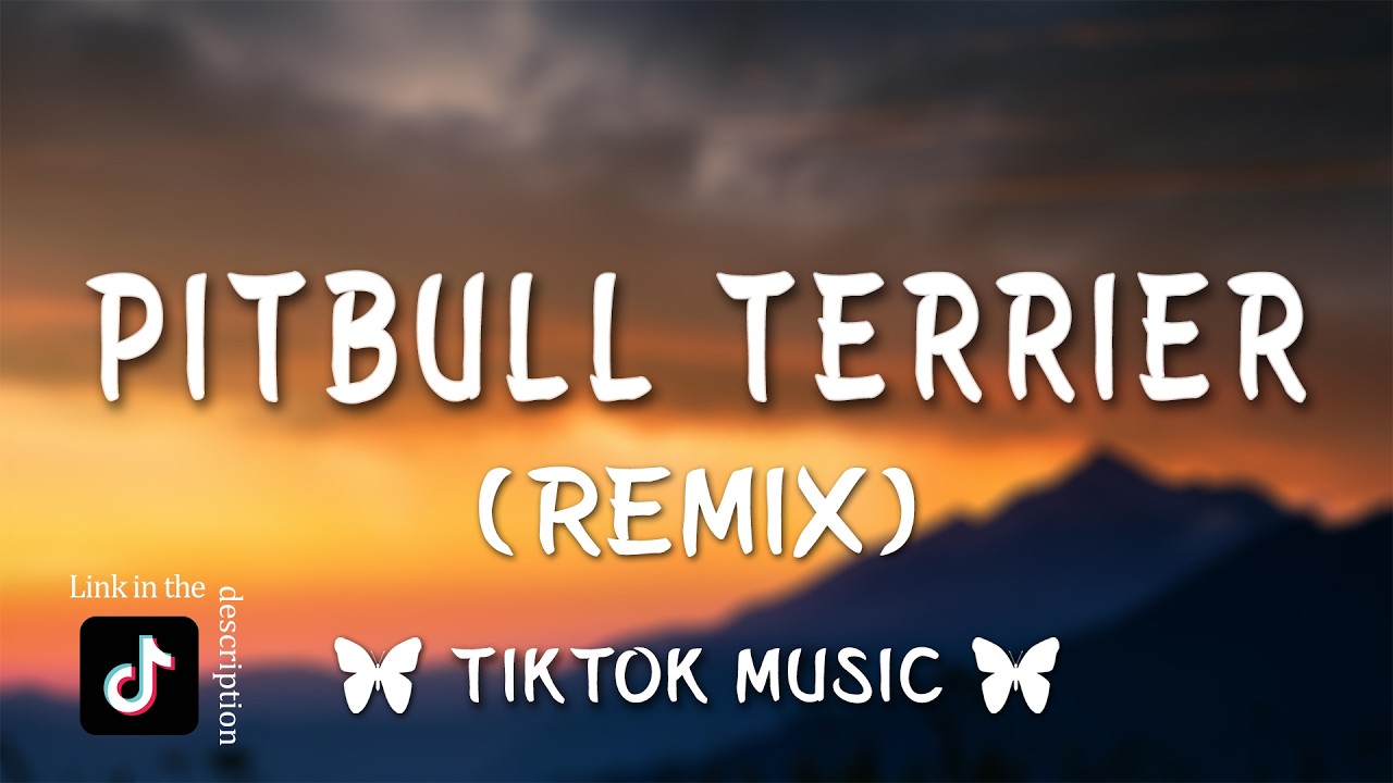 Pitbull Terrier Remix (tiktok version) - Die Antwoord (Lyrics) I am a pitbull terrier