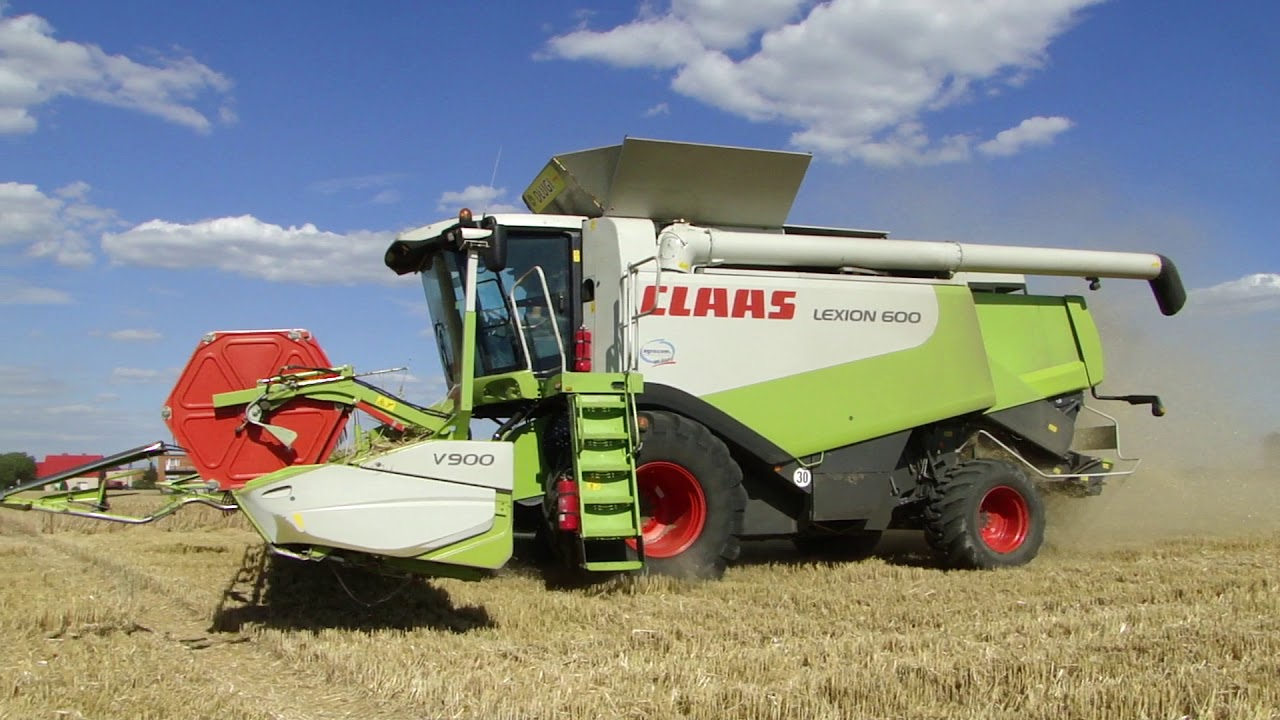 Zbiór pszenicy ozimej -Top Farms Wielkopolska- żniwa 2018