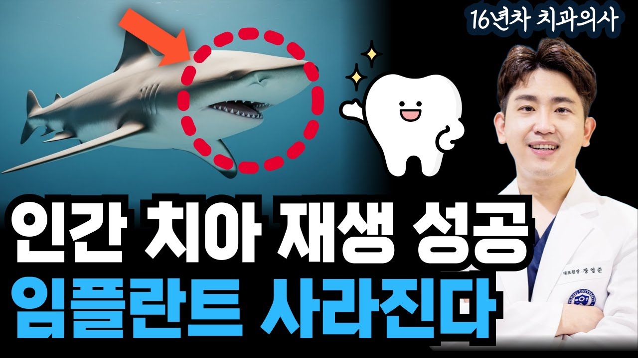 인간 치아 재생 성공, 임플란트 사라진다. 치아 새로 나는 신약, 예상 가격은?