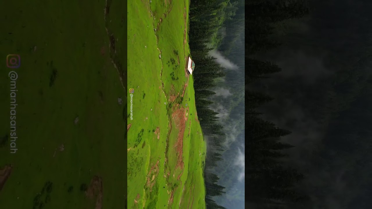 jarogo meadows || swat valley #nature #travel #kpk #mountains #drone #swat #jarogo #swatvalley