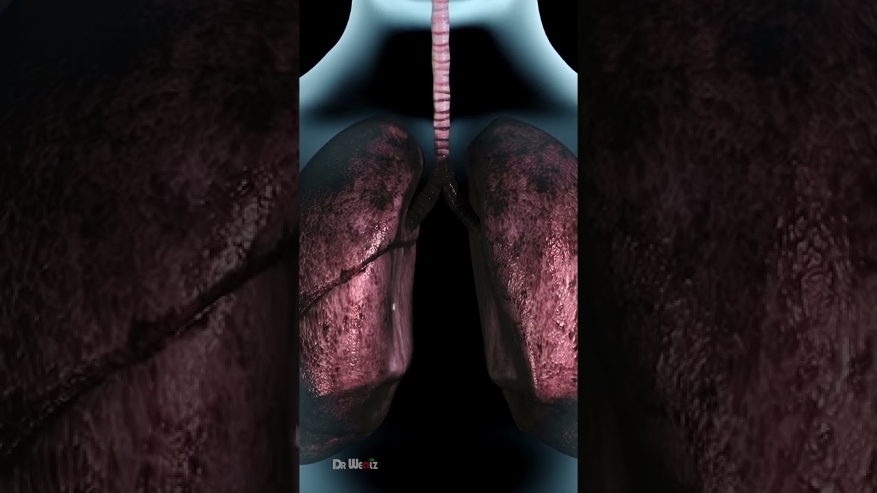 Как именно курение влияет на организм