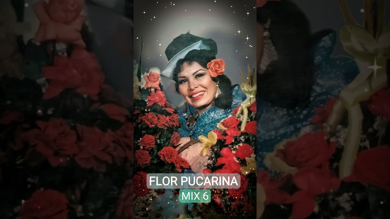 FLOR PUCARINA _ MIX 6