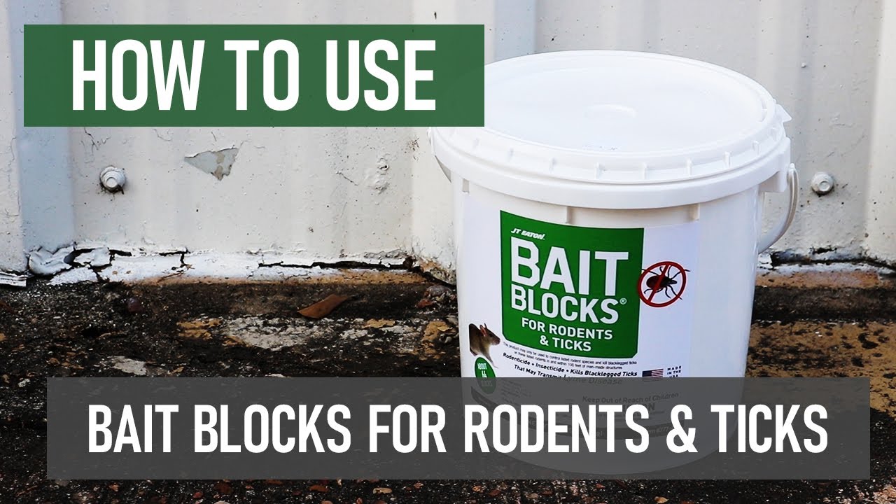 How to Use Bait Blocks for Rodents and Ticks by JT Eaton [DIY Rodent Control]