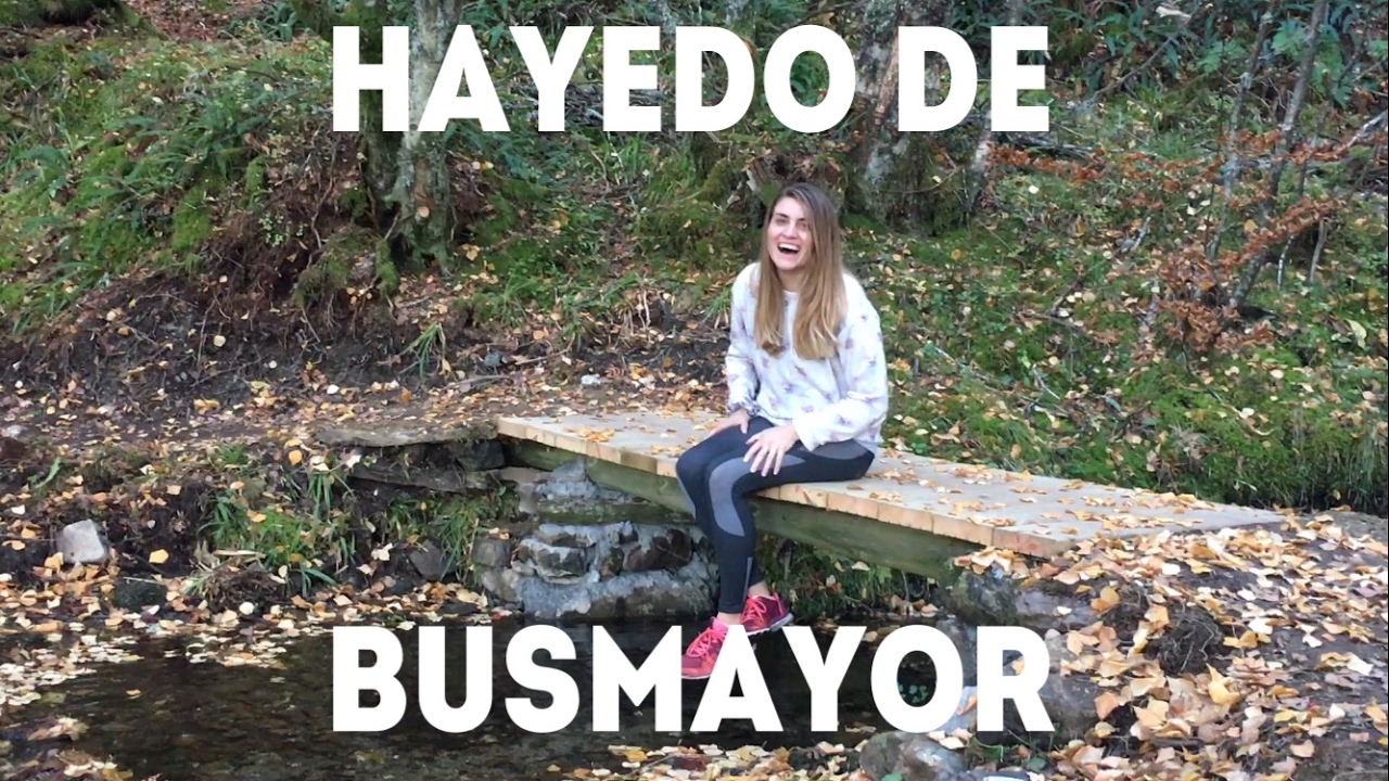 RUTAS POR EL BIERZO: HAYEDO DE BUSMAYOR