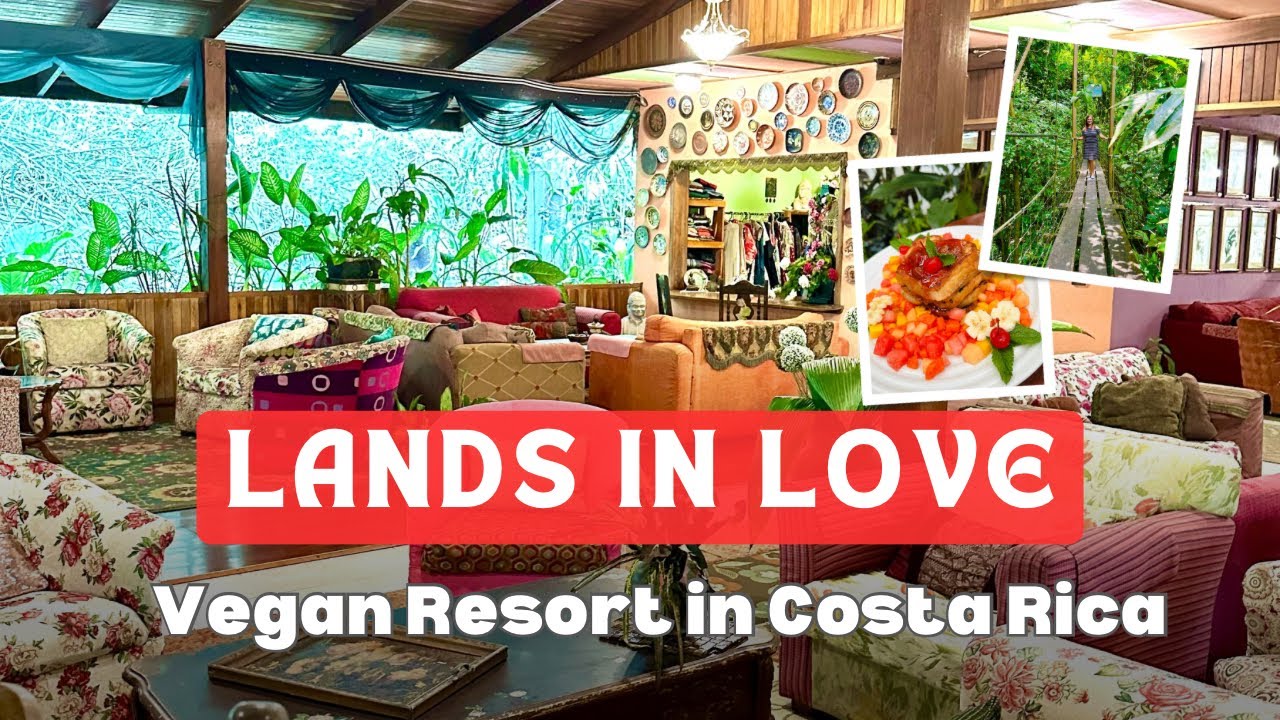 Lands in Love - Vegan Hotel and Resort, Adventure Activities in Costa Rica | Animal Rescue Centre