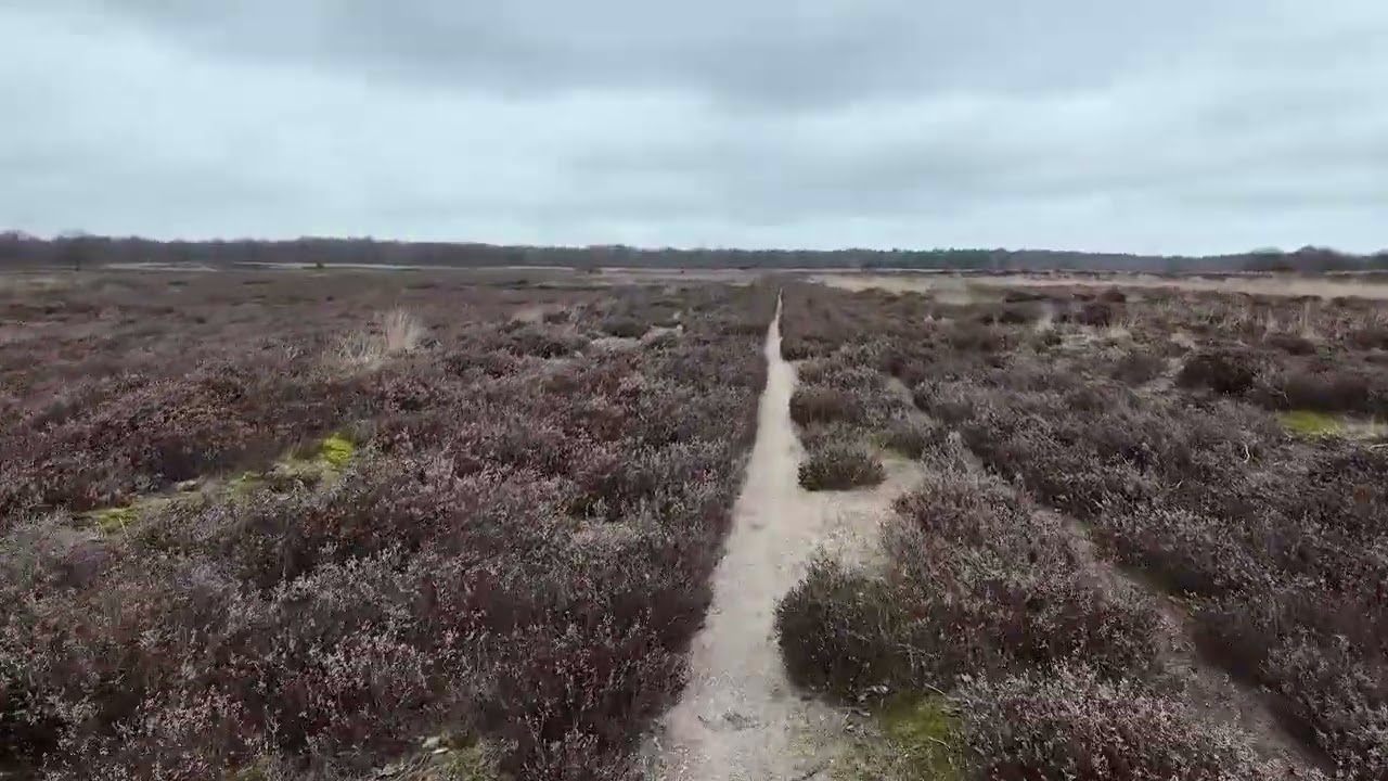 Winter Morning Walk on the Ermelose Heide &ndash; Netherlands Nature Trail - Part 3